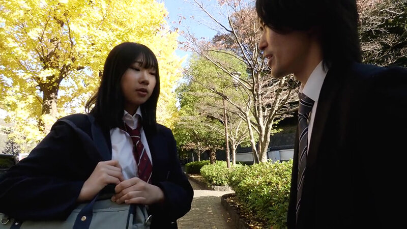 madv00553ギャラリー画像ID:4042